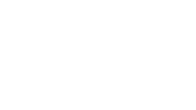 лого Зенит белый