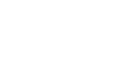 лого Зенит профи белый